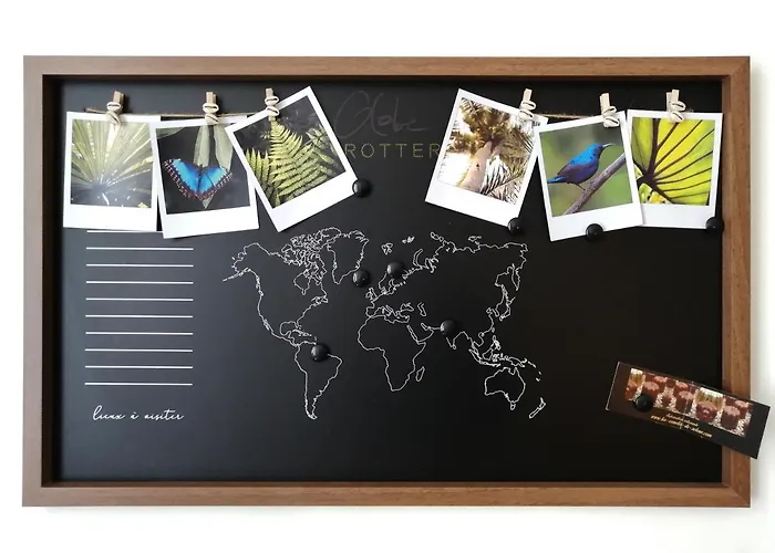 Blue Rent * Брон